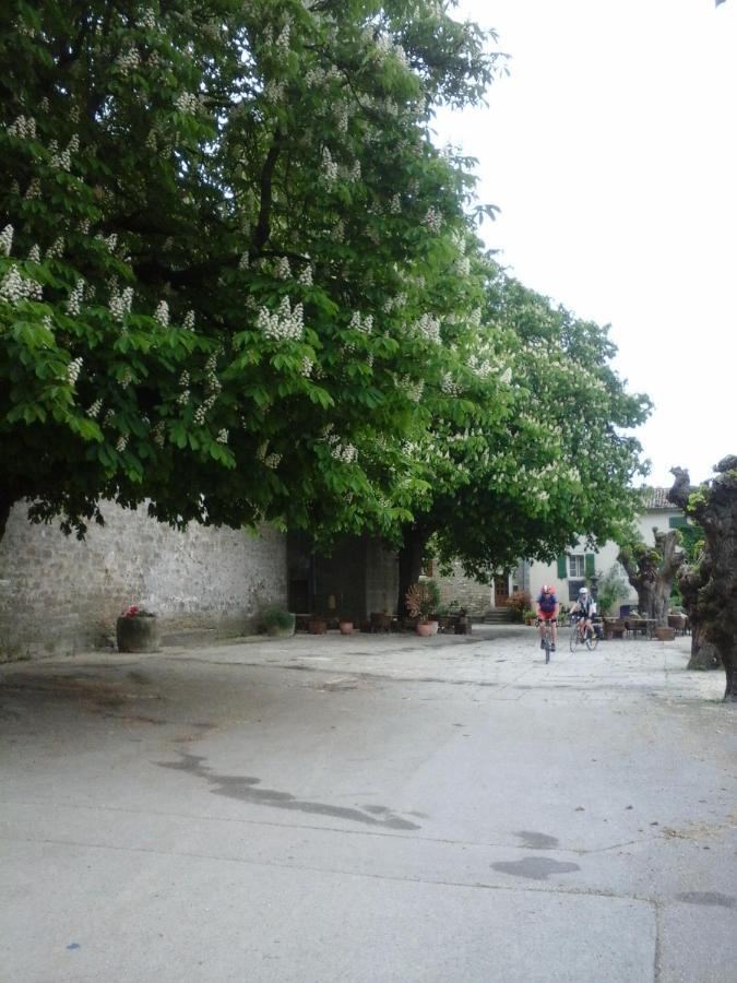Rooms Svalina (Adults Only) Grožnjan Zewnętrze zdjęcie